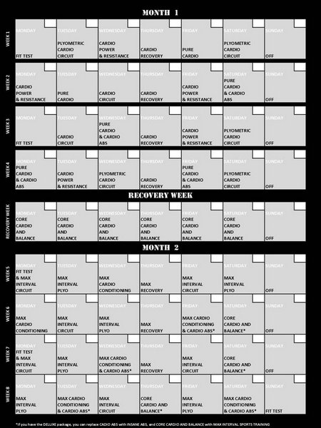 Insanity-results-insanity-workout-sheet